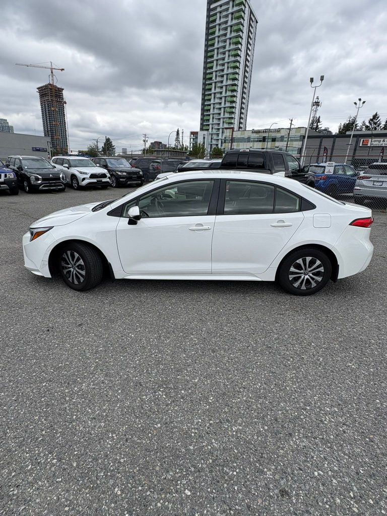 WhatsApp-Image-2025-07-03-at-11.18.31-768x1024-1